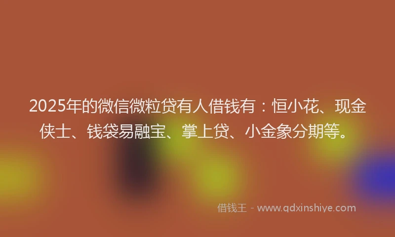 2025年的微信微粒贷有人借钱有：恒小花、现金侠士、钱袋易融宝、掌上贷、小金象分期等。