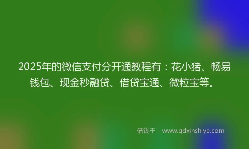 2025年的微信支付分开通教程有：花小猪、畅易钱包、现金秒融贷、借贷宝通、微粒宝等。