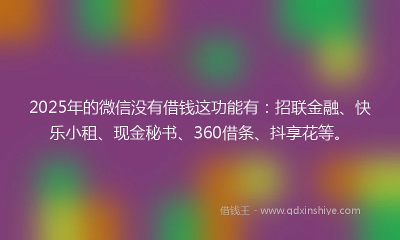2025年的微信没有借钱这功能有：招联金融、快乐小租、现金秘书、360借条、抖享花等。
