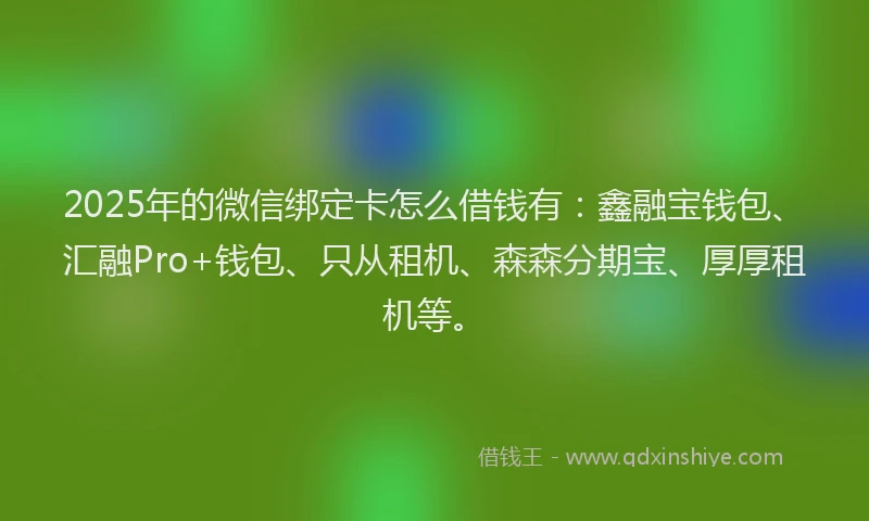 2025年的微信绑定卡怎么借钱有：鑫融宝钱包、汇融Pro+钱包、只从租机、森森分期宝、厚厚租机等。