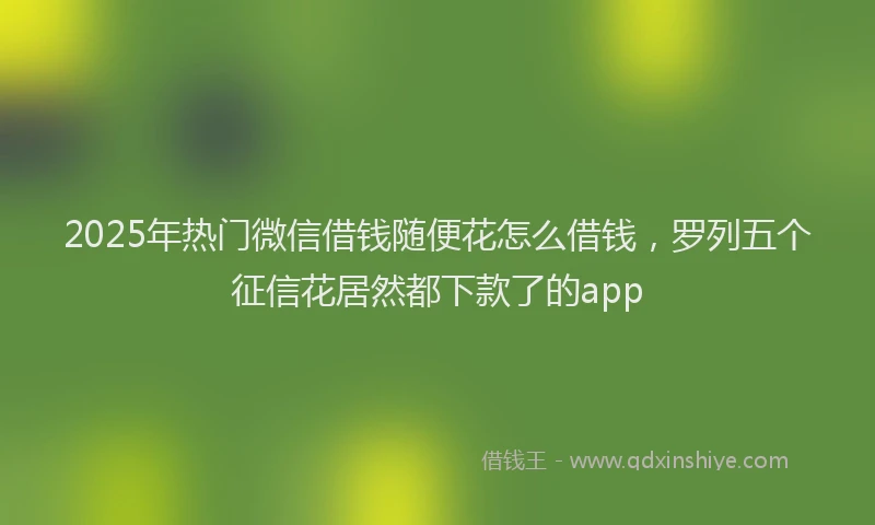 2025年热门微信借钱随便花怎么借钱，罗列五个征信花居然都下款了的app