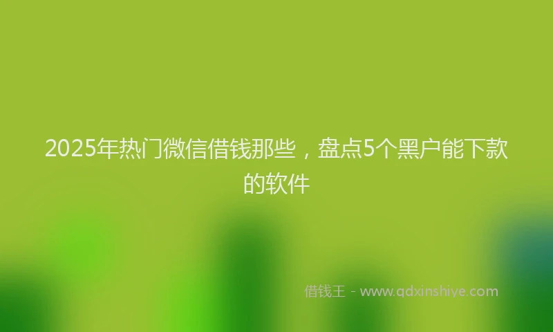 2025年热门微信借钱那些，盘点5个黑户能下款的软件