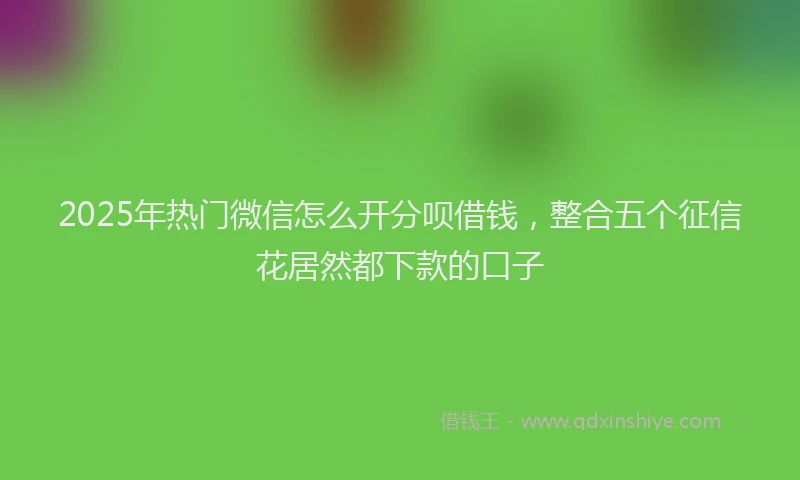 2025年热门微信怎么开分呗借钱，整合五个征信花居然都下款的口子