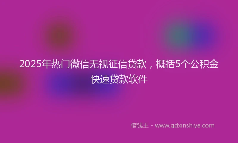 2025年热门微信无视征信贷款，概括5个公积金快速贷款软件