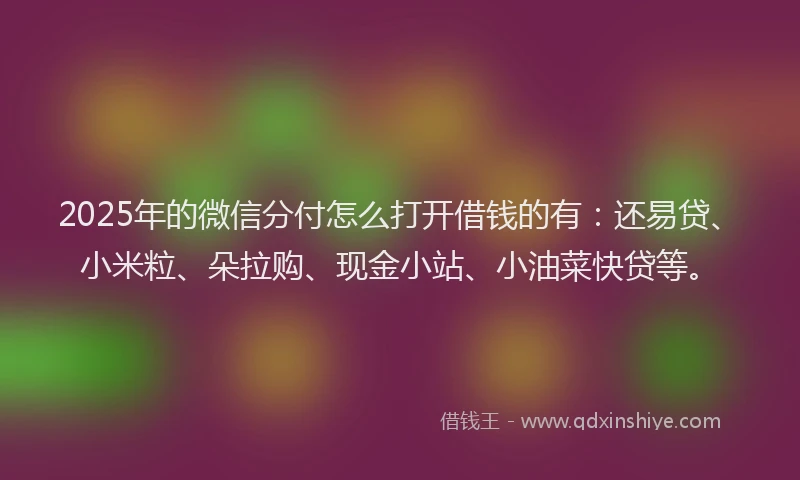 2025年的微信分付怎么打开借钱的有：还易贷、小米粒、朵拉购、现金小站、小油菜快贷等。