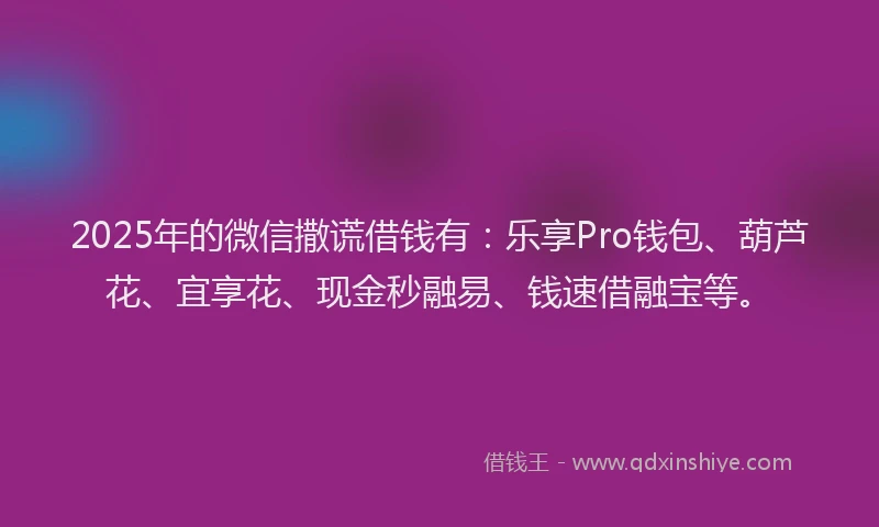 2025年的微信撒谎借钱有：乐享Pro钱包、葫芦花、宜享花、现金秒融易、钱速借融宝等。