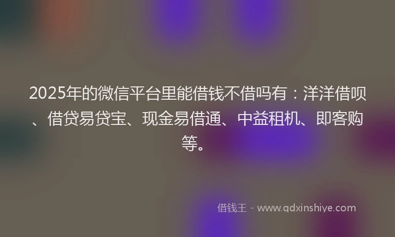 2025年的微信平台里能借钱不借吗有：洋洋借呗、借贷易贷宝、现金易借通、中益租机、即客购等。