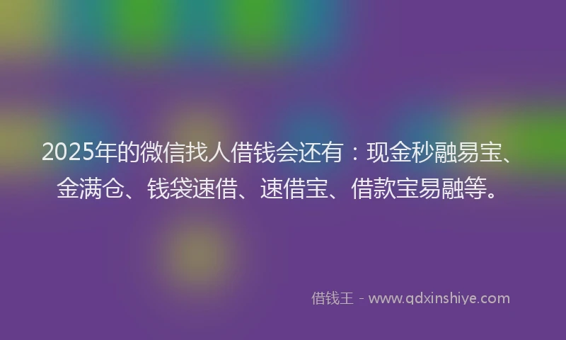 2025年的微信找人借钱会还有：现金秒融易宝、金满仓、钱袋速借、速借宝、借款宝易融等。