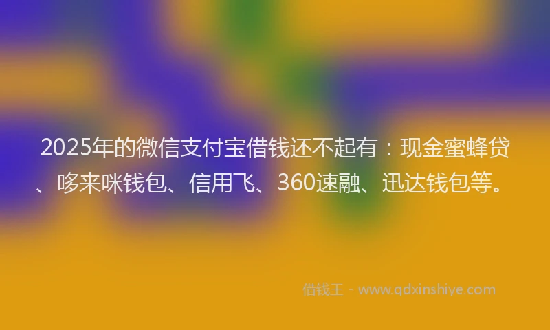 2025年的微信支付宝借钱还不起有：现金蜜蜂贷、哆来咪钱包、信用飞、360速融、迅达钱包等。