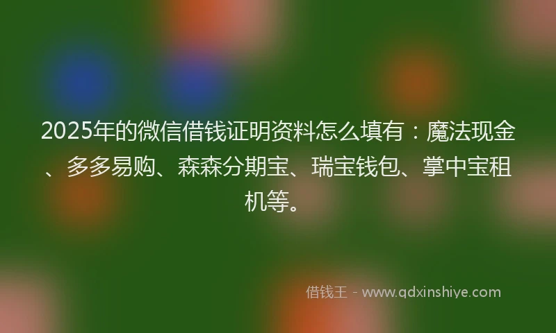 2025年的微信借钱证明资料怎么填有：魔法现金、多多易购、森森分期宝、瑞宝钱包、掌中宝租机等。