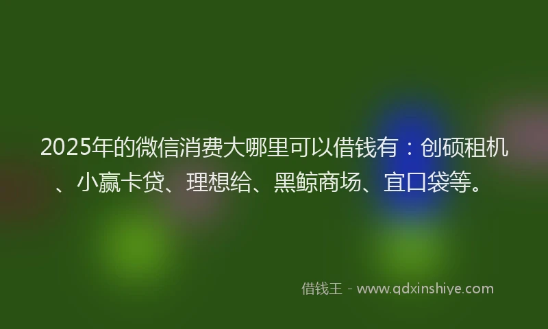 2025年的微信消费大哪里可以借钱有：创硕租机、小赢卡贷、理想给、黑鲸商场、宜口袋等。