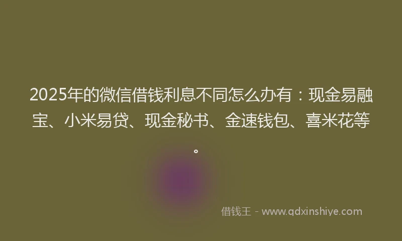 2025年的微信借钱利息不同怎么办有：现金易融宝、小米易贷、现金秘书、金速钱包、喜米花等。