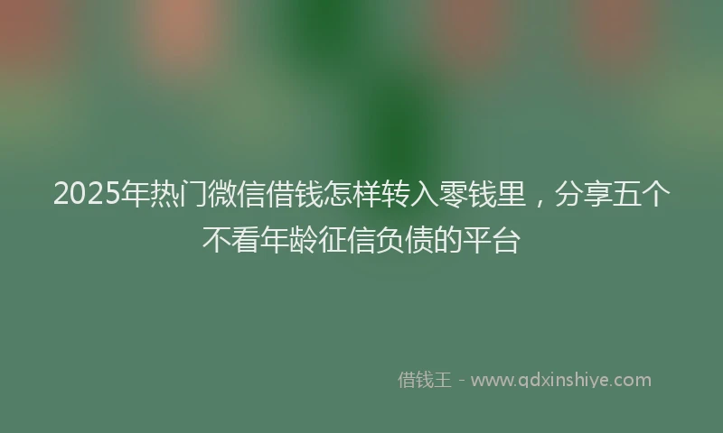 2025年热门微信借钱怎样转入零钱里，分享五个不看年龄征信负债的平台