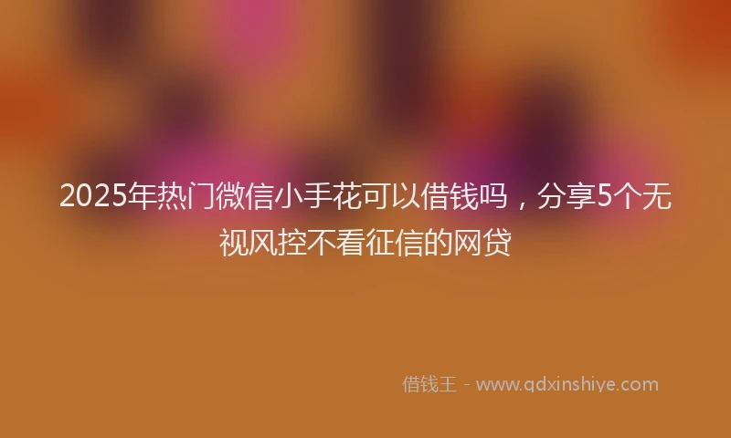 2025年热门微信小手花可以借钱吗，分享5个无视风控不看征信的网贷