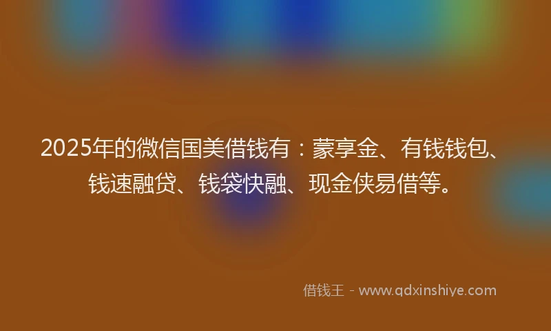 2025年的微信国美借钱有：蒙享金、有钱钱包、钱速融贷、钱袋快融、现金侠易借等。