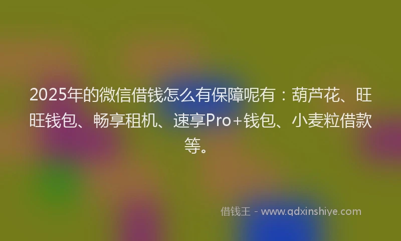 2025年的微信借钱怎么有保障呢有：葫芦花、旺旺钱包、畅享租机、速享Pro+钱包、小麦粒借款等。