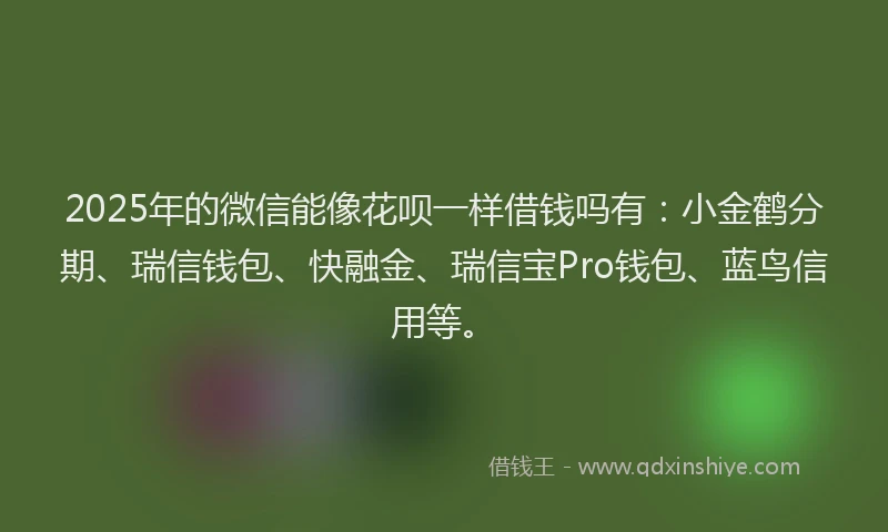 2025年的微信能像花呗一样借钱吗有：小金鹤分期、瑞信钱包、快融金、瑞信宝Pro钱包、蓝鸟信用等。