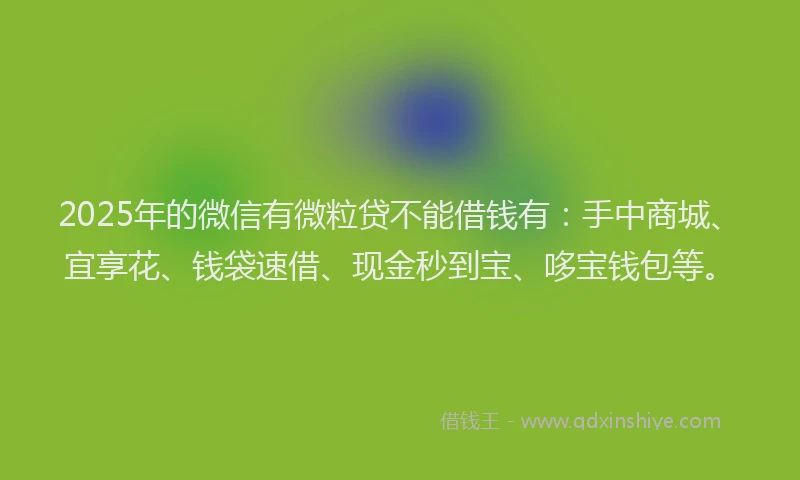 2025年的微信有微粒贷不能借钱有：手中商城、宜享花、钱袋速借、现金秒到宝、哆宝钱包等。