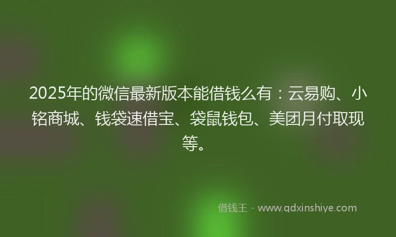 2025年的微信最新版本能借钱么有：云易购、小铭商城、钱袋速借宝、袋鼠钱包、美团月付取现等。