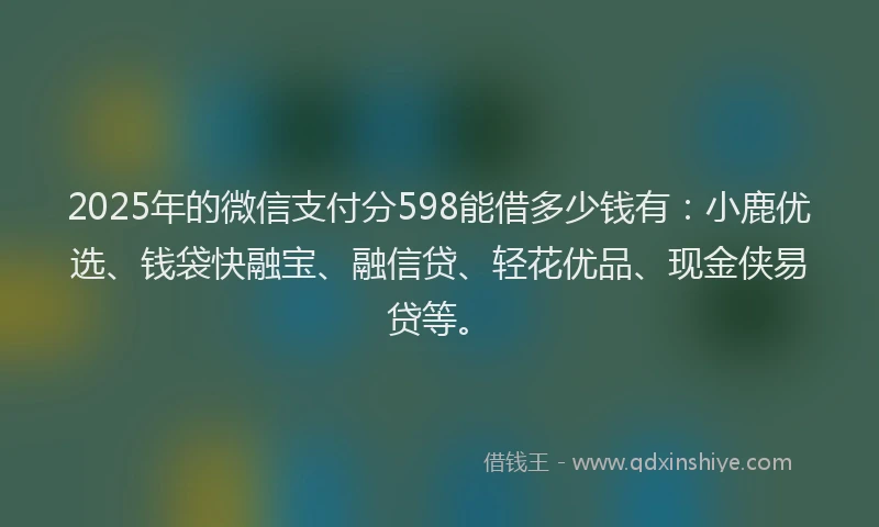 2025年的微信支付分598能借多少钱有：小鹿优选、钱袋快融宝、融信贷、轻花优品、现金侠易贷等。