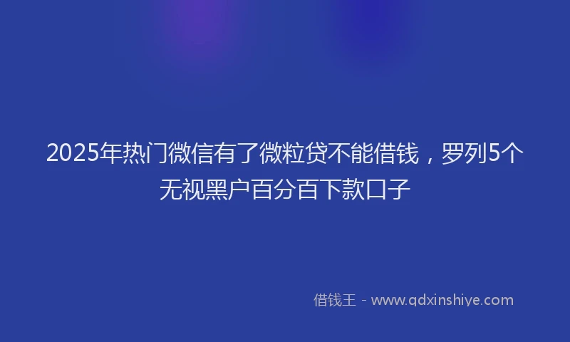 2025年热门微信有了微粒贷不能借钱，罗列5个无视黑户百分百下款口子