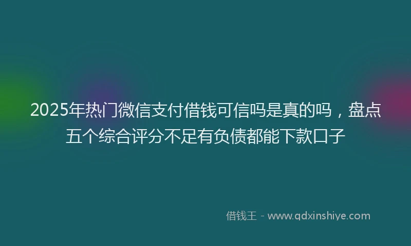 2025年热门微信支付借钱可信吗是真的吗，盘点五个综合评分不足有负债都能下款口子