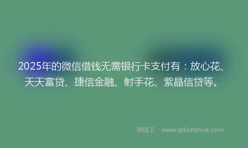 2025年的微信借钱无需银行卡支付有：放心花、天天富贷、捷信金融、射手花、紫晶信贷等。