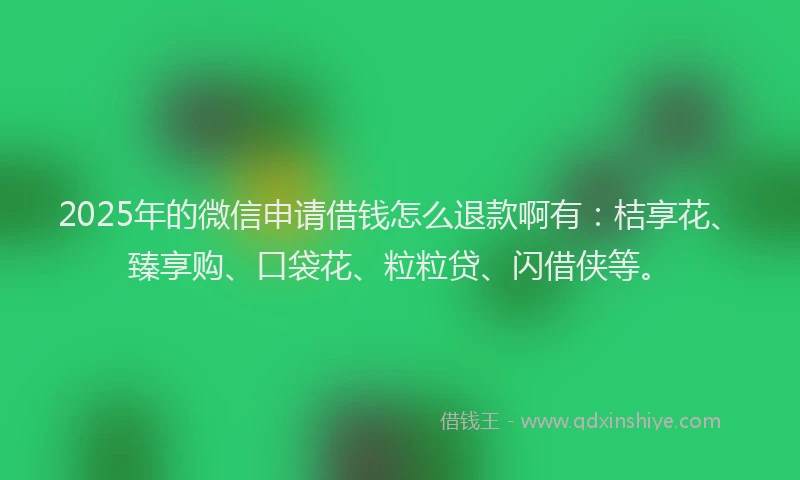 2025年的微信申请借钱怎么退款啊有：桔享花、臻享购、口袋花、粒粒贷、闪借侠等。