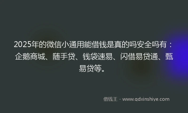 2025年的微信小通用能借钱是真的吗安全吗有：企鹅商城、随手贷、钱袋速易、闪借易贷通、甄易贷等。