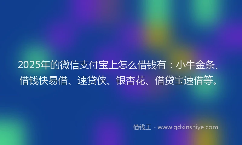 2025年的微信支付宝上怎么借钱有：小牛金条、借钱快易借、速贷侠、银杏花、借贷宝速借等。