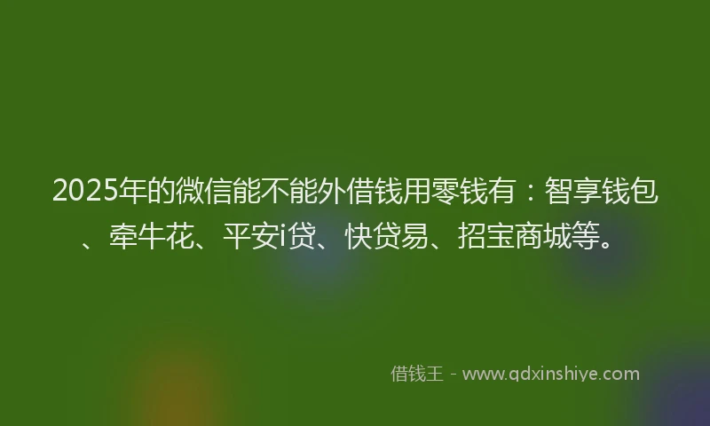 2025年的微信能不能外借钱用零钱有：智享钱包、牵牛花、平安i贷、快贷易、招宝商城等。