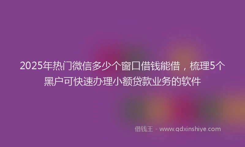 2025年热门微信多少个窗口借钱能借，梳理5个黑户可快速办理小额贷款业务的软件