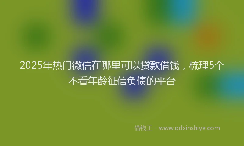 2025年热门微信在哪里可以贷款借钱，梳理5个不看年龄征信负债的平台