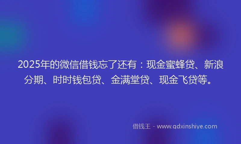 2025年的微信借钱忘了还有：现金蜜蜂贷、新浪分期、时时钱包贷、金满堂贷、现金飞贷等。