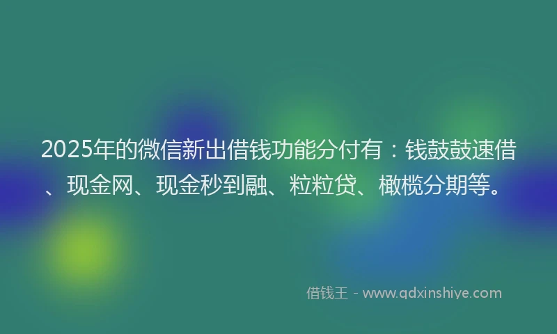 2025年的微信新出借钱功能分付有：钱鼓鼓速借、现金网、现金秒到融、粒粒贷、橄榄分期等。
