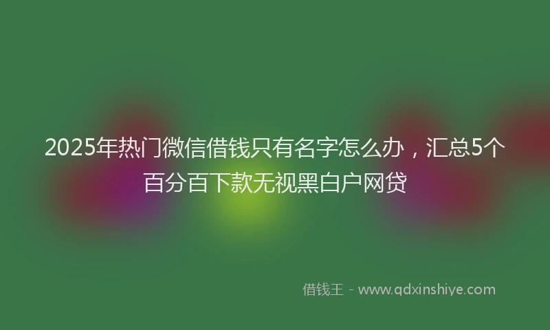 2025年热门微信借钱只有名字怎么办，汇总5个百分百下款无视黑白户网贷