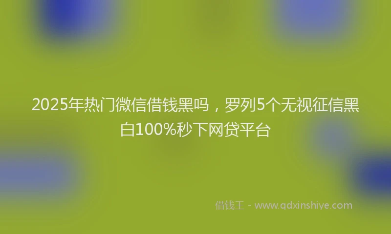 2025年热门微信借钱黑吗，罗列5个无视征信黑白100%秒下网贷平台
