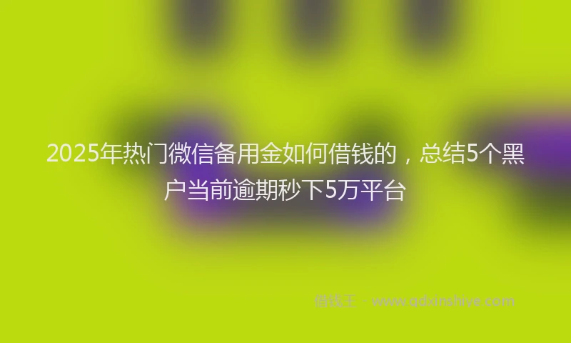 2025年热门微信备用金如何借钱的，总结5个黑户当前逾期秒下5万平台