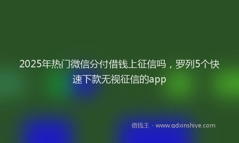 2025年热门微信分付借钱上征信吗，罗列5个快速下款无视征信的app