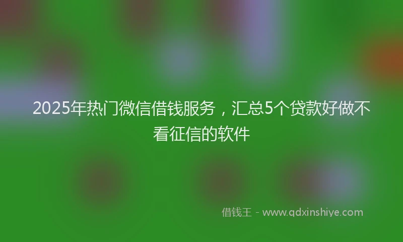 2025年热门微信借钱服务，汇总5个贷款好做不看征信的软件