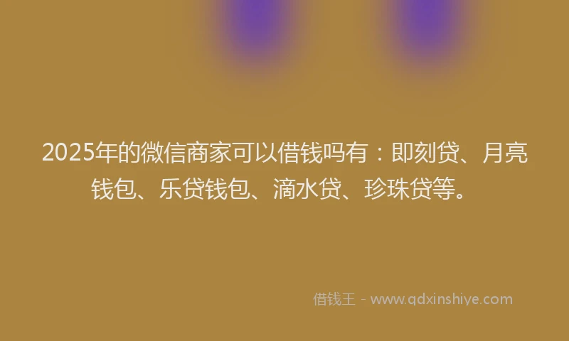 2025年的微信商家可以借钱吗有：即刻贷、月亮钱包、乐贷钱包、滴水贷、珍珠贷等。