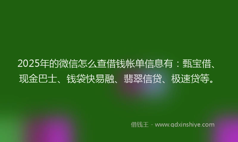 2025年的微信怎么查借钱帐单信息有：甄宝借、现金巴士、钱袋快易融、翡翠信贷、极速贷等。