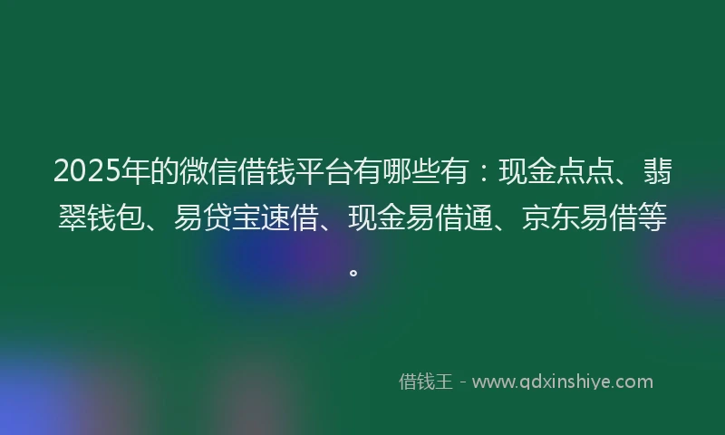2025年的微信借钱平台有哪些有：现金点点、翡翠钱包、易贷宝速借、现金易借通、京东易借等。