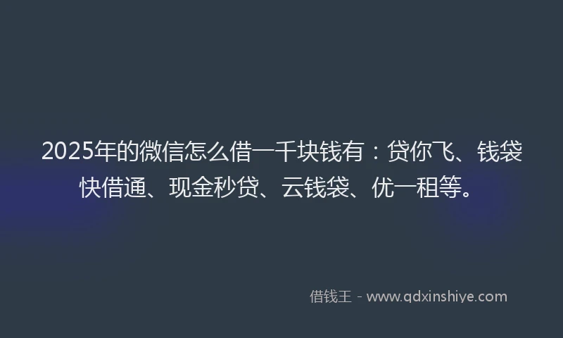 2025年的微信怎么借一千块钱有：贷你飞、钱袋快借通、现金秒贷、云钱袋、优一租等。