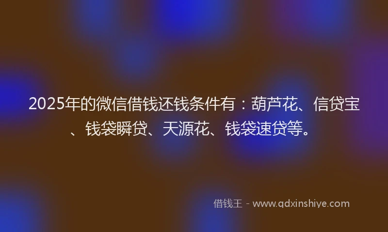 2025年的微信借钱还钱条件有：葫芦花、信贷宝、钱袋瞬贷、天源花、钱袋速贷等。