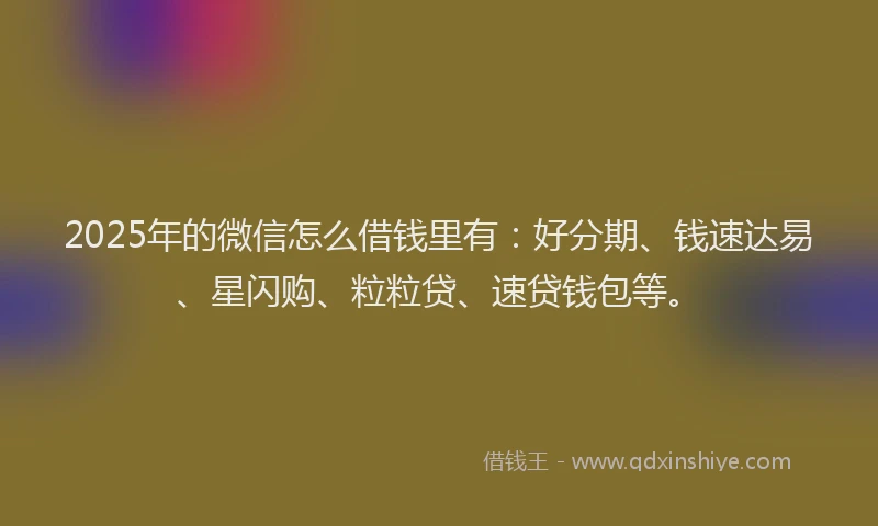 2025年的微信怎么借钱里有：好分期、钱速达易、星闪购、粒粒贷、速贷钱包等。