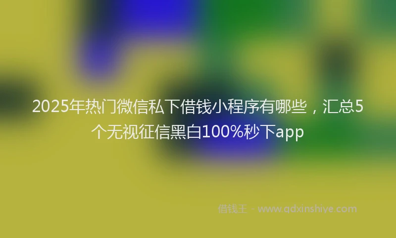 2025年热门微信私下借钱小程序有哪些，汇总5个无视征信黑白100%秒下app