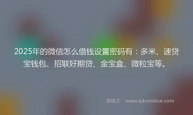2025年的微信怎么借钱设置密码有：多米、速贷宝钱包、招联好期贷、金宝盒、微粒宝等。