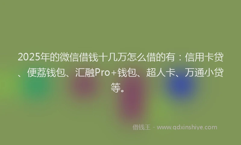 2025年的微信借钱十几万怎么借的有：信用卡贷、便荔钱包、汇融Pro+钱包、超人卡、万通小贷等。