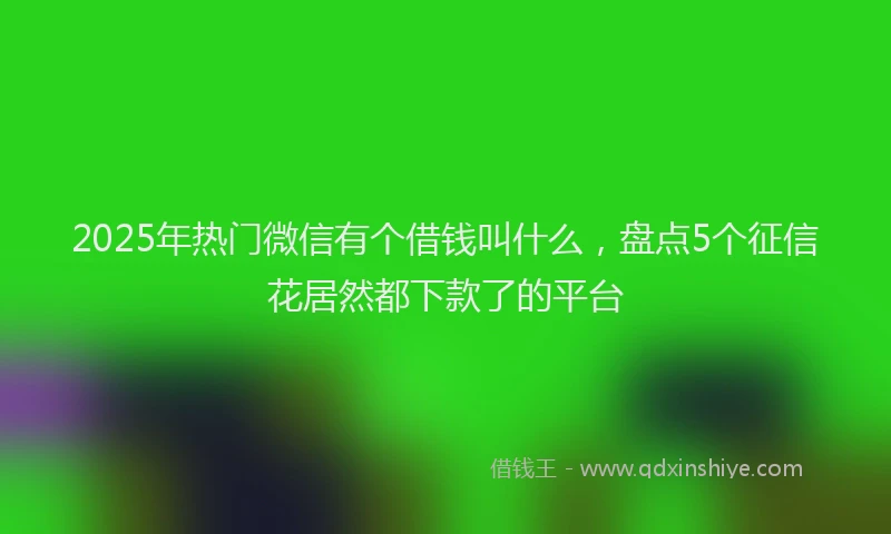 2025年热门微信有个借钱叫什么，盘点5个征信花居然都下款了的平台